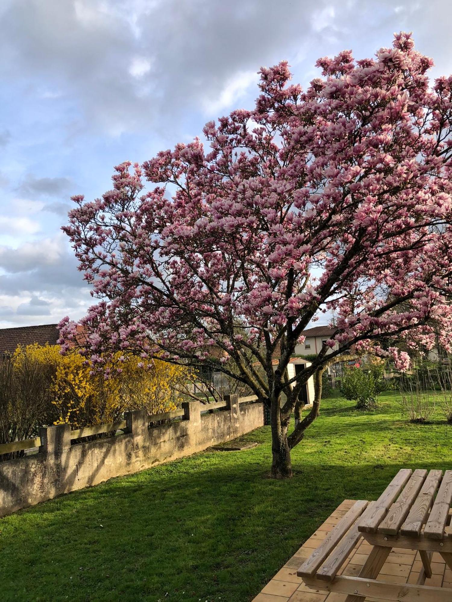 Parc De La Charmille Bed & Breakfast Saint-Etienne-sur-Reyssouze Luaran gambar