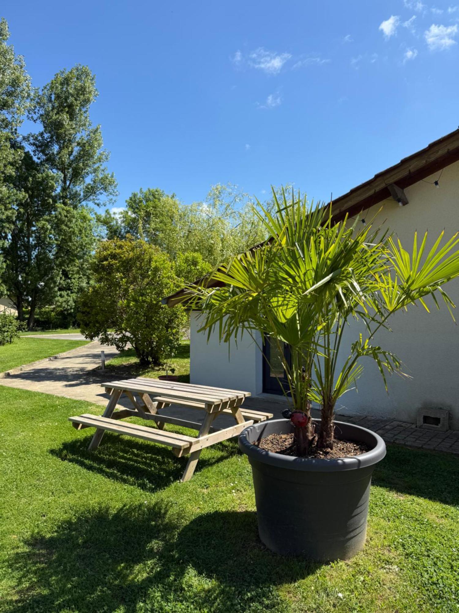 Parc De La Charmille Bed & Breakfast Saint-Etienne-sur-Reyssouze Luaran gambar